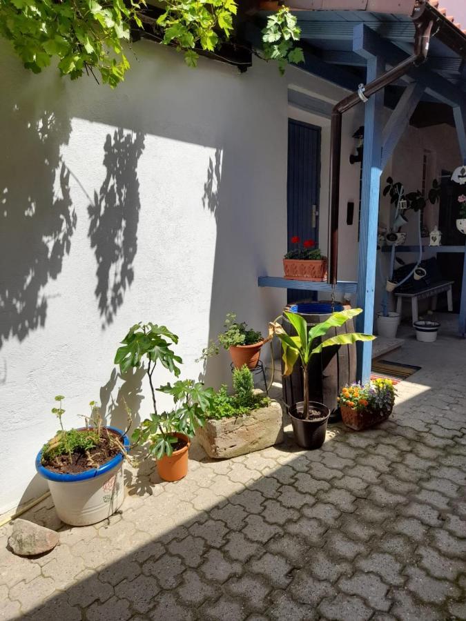 Ferienwohnung Ferienhaus Schick und Fein Bochingen Exterior foto